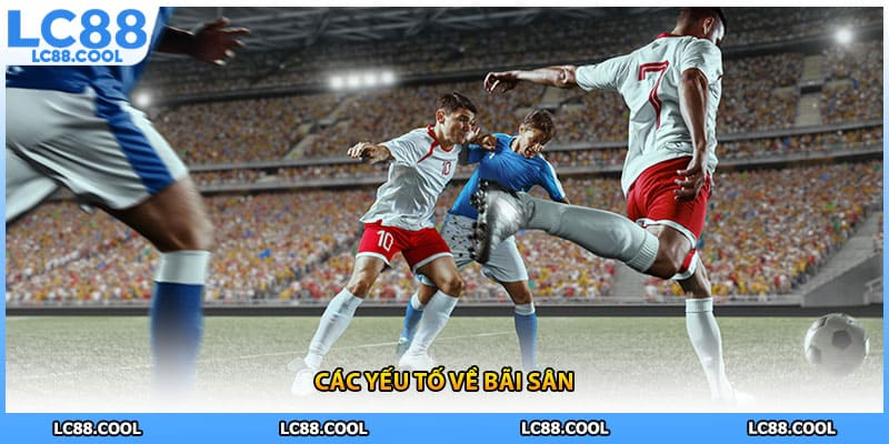 Các yếu tố về bãi sân