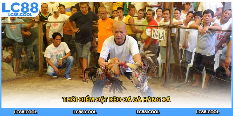 Thời điểm đặt kèo đá gà hàng xá