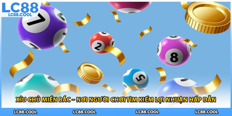 Xỉu Chủ Miền Bắc – Nơi Người Chơi Tìm Kiếm Lợi Nhuận Hấp Dẫn